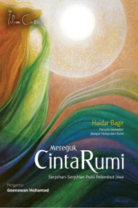 Image of Mereguk Cinta Rumi