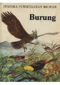 Image of Burung