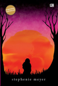 Image of Breaking Dawn
